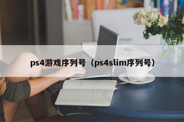 ps4游戏序列号（ps4slim序列号）