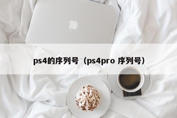 ps4的序列号（ps4pro 序列号）