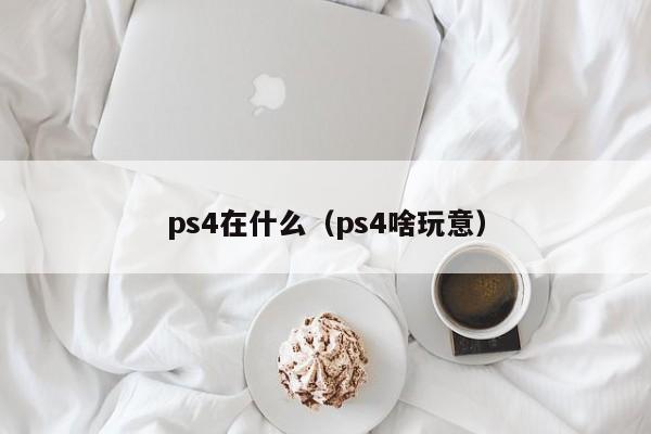 ps4在什么（ps4啥玩意）