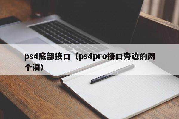 ps4底部接口（ps4pro接口旁边的两个洞）